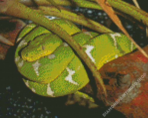 Green Emerald Snake Diamond Painting