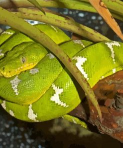 Green Emerald Snake Diamond Painting