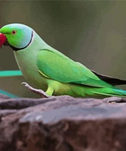 Green Rose Ringed Parakeet Bird Diamond Painting