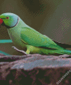 Green Rose Ringed Parakeet Bird Diamond Painting