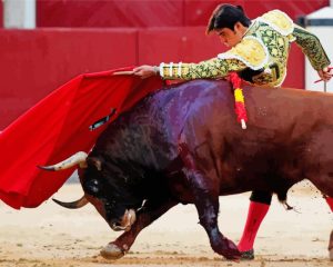 Matador And Bull Fight Diamond Painting