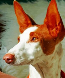 Podenco Dog Head Diamond Painting
