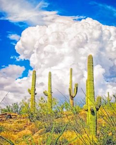 Saguaro National Park Arizona Diamond Painting