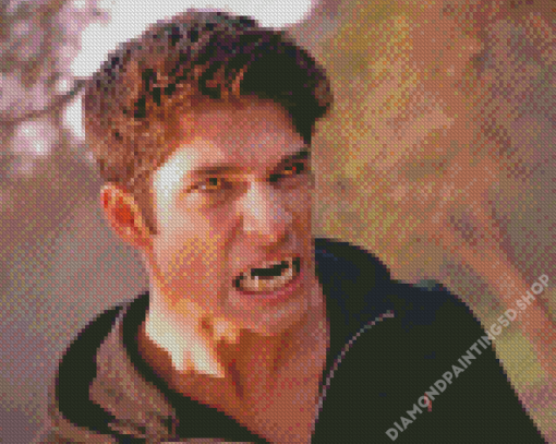 Teen Wolf Scott Mccall Diamond Painting