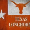 Texas Longhorn Flag Poster Diamond Painting