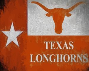 Texas Longhorn Flag Poster Diamond Painting