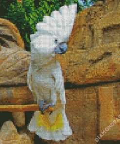 Umbrella Cockatoo Diamond Painting