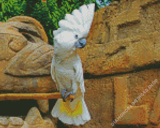 Umbrella Cockatoo Diamond Painting