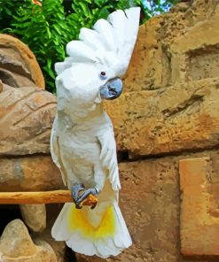 Umbrella Cockatoo Diamond Painting