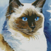 Aesthetic Ragdoll Cat Art Diamond Painting