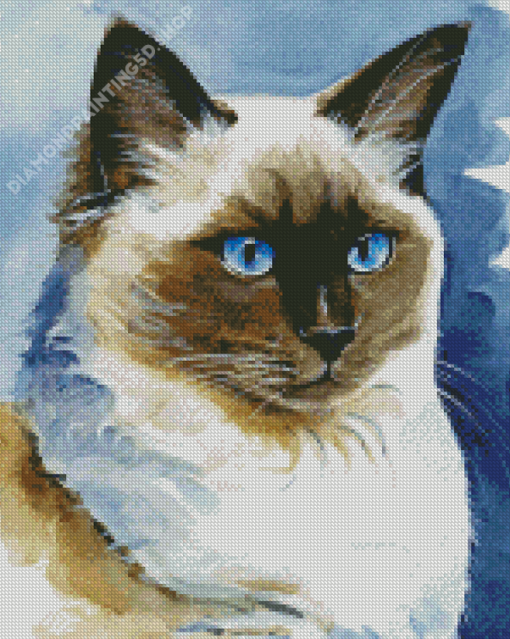 Aesthetic Ragdoll Cat Art Diamond Painting