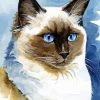 Aesthetic Ragdoll Cat Art Diamond Painting