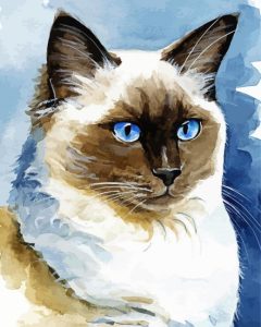 Aesthetic Ragdoll Cat Art Diamond Painting