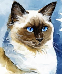 Aesthetic Ragdoll Cat Art Diamond Painting