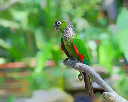 Black Capped Conure On Branch Diamond Painting