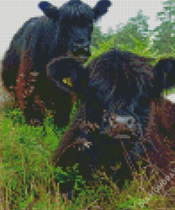 Cute Little Cows Grazing Diamond Painting