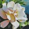 Gardenia Flowers Diamond Painting