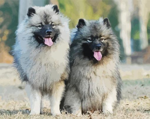 Keeshond Puppies Diamond Painting