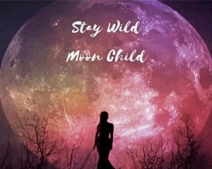 Stay Wild Moon Child Silhouette Diamond Painting