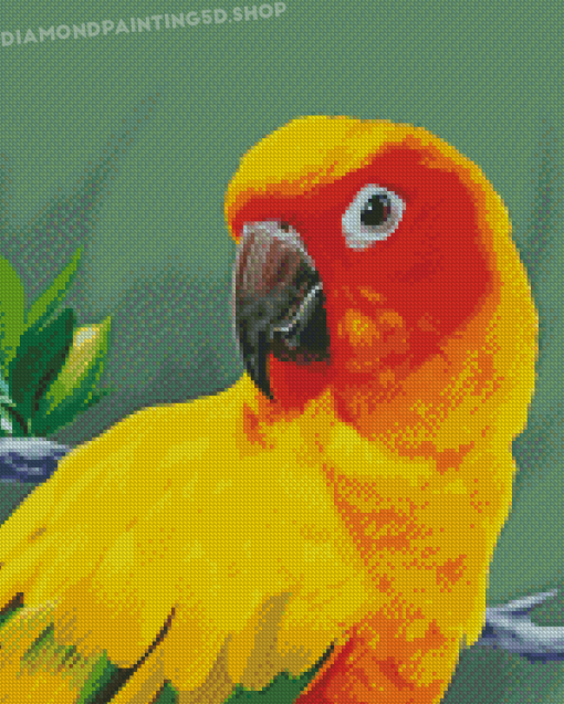 Sun Conure Art Diamond Painting