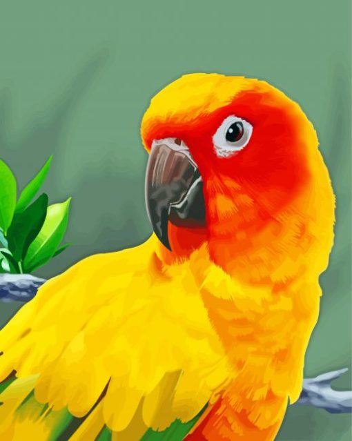 Sun Conure Art Diamond Painting