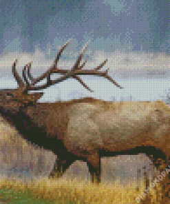 Wyoming Elk Diamond Painting