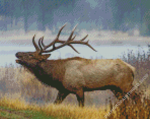 Wyoming Elk Diamond Painting