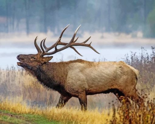 Wyoming Elk Diamond Painting