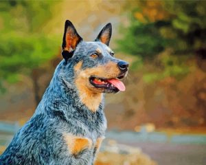 Australia Cattle Dog Diamond Painting