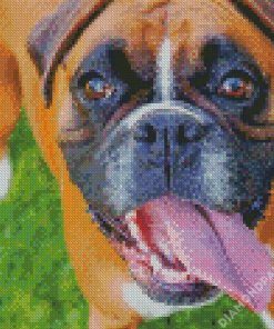 Boxer Dog Breed Diamond Painting