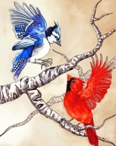 Cardinal And Blue Jay Birds On Branch Diamond Painting