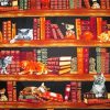 Cats And Books Diamond Painting