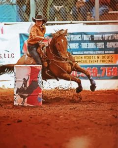 Cowboy Boots Western Wear And Barrel Race Diamond Painting