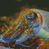 Cuttlefish Diamond Painting