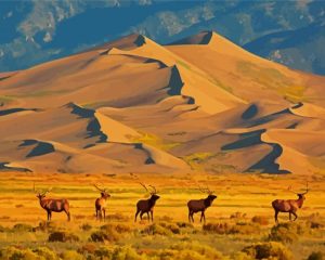 Great Sand Dunes Colorado Diamond Painting