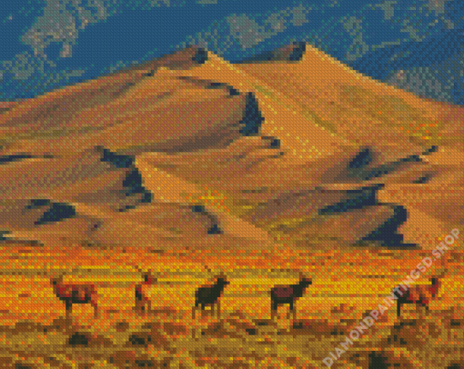 Great Sand Dunes Colorado Diamond Painting