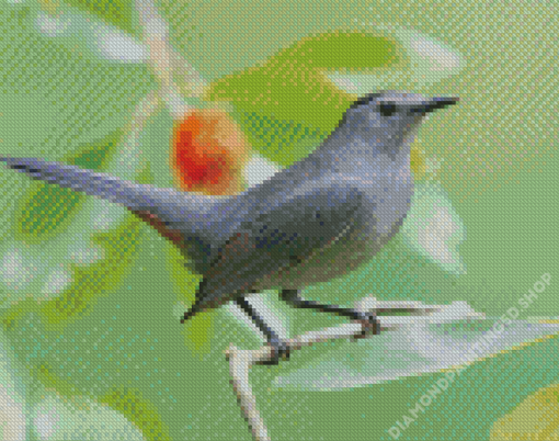 Grey Catbird Diamond Painting