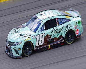 Kyle Busch Cars Diamond Painting