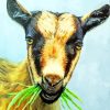 Nigerian Dwarf Goat Eating Grass Art Diamond Painting