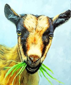 Nigerian Dwarf Goat Eating Grass Art Diamond Painting