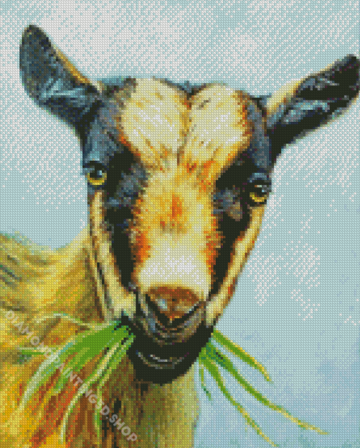 Nigerian Dwarf Goat Eating Grass Art Diamond Painting