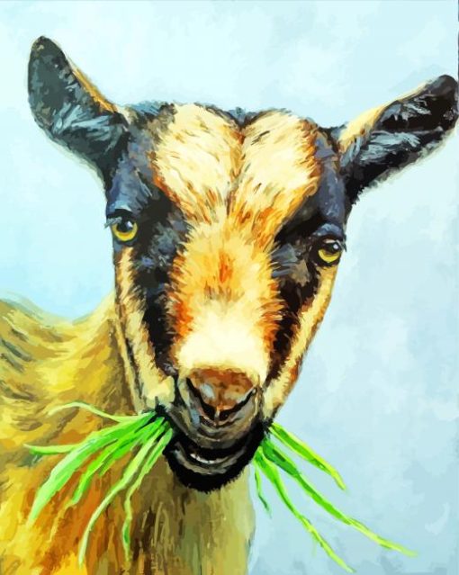 Nigerian Dwarf Goat Eating Grass Art Diamond Painting