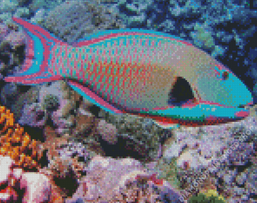 Parrot Fish Diamond Painting