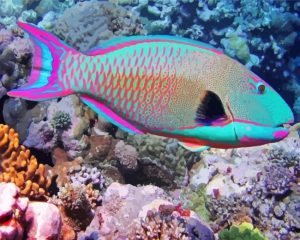 Parrot Fish Diamond Painting