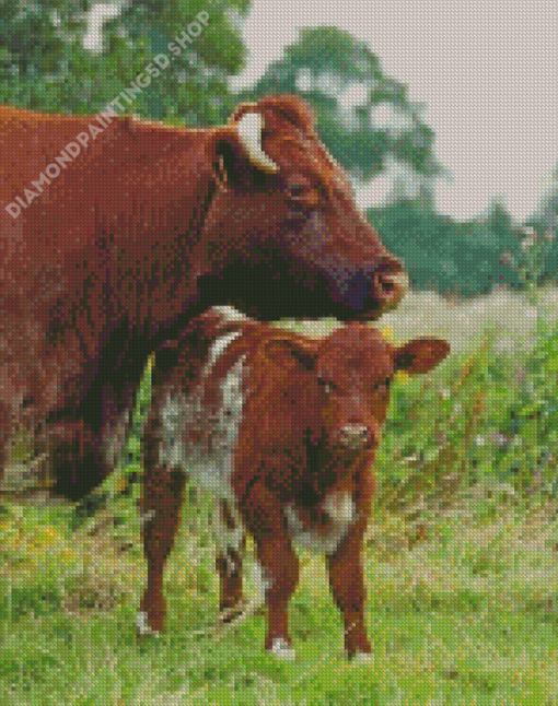 Shorthorn Cattle Diamond Painting