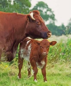 Shorthorn Cattle Diamond Painting