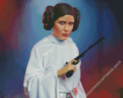 Star Wars Princess Layer Illustration Diamond Painting