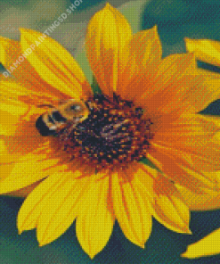 Sunflower And Bee Diamond Painting