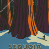 The Sequoia National Park Diamond Painting