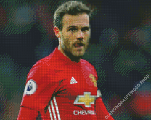 Aesthetic Juan Mata Diamond Painting